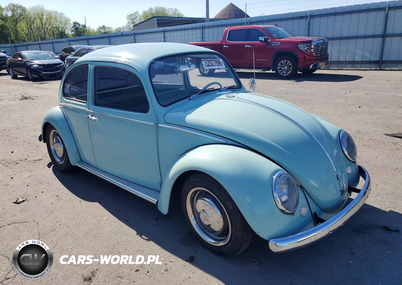 1966 Volkswagen Beetle VIN:116612342 - 4