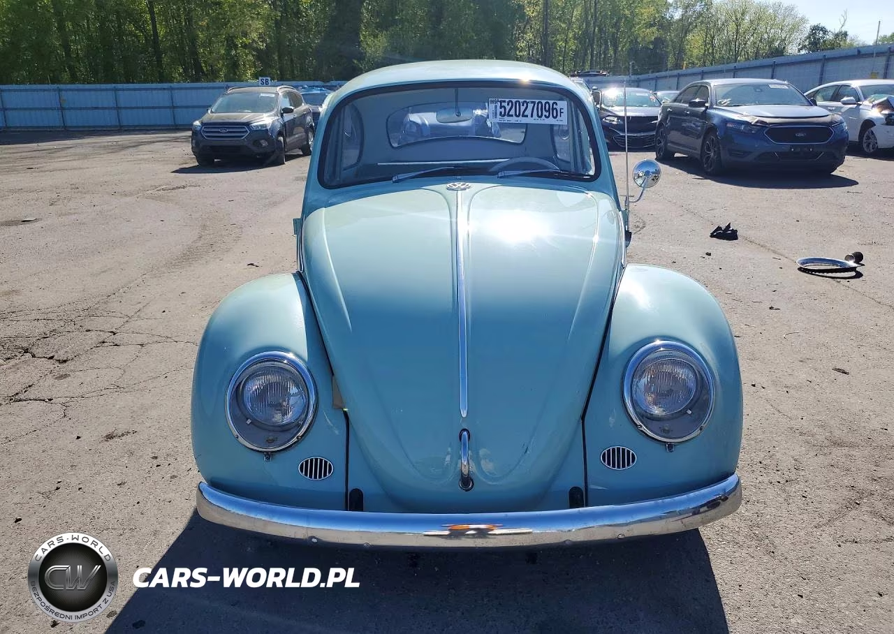 1966 Volkswagen Beetle VIN:116612342 - 5