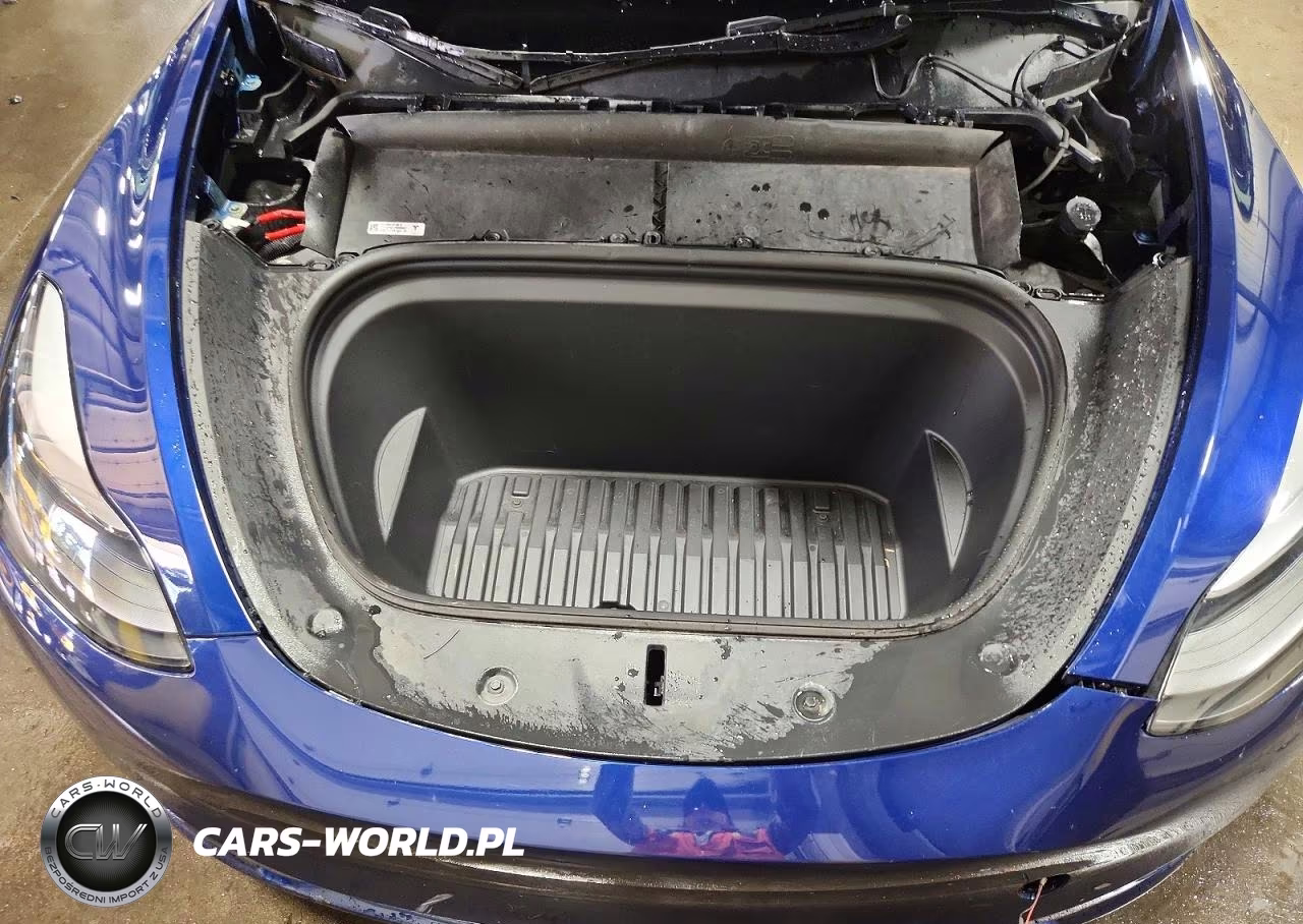2023 Tesla Model Y VIN:7SAYGDEF5PF827347 - 11