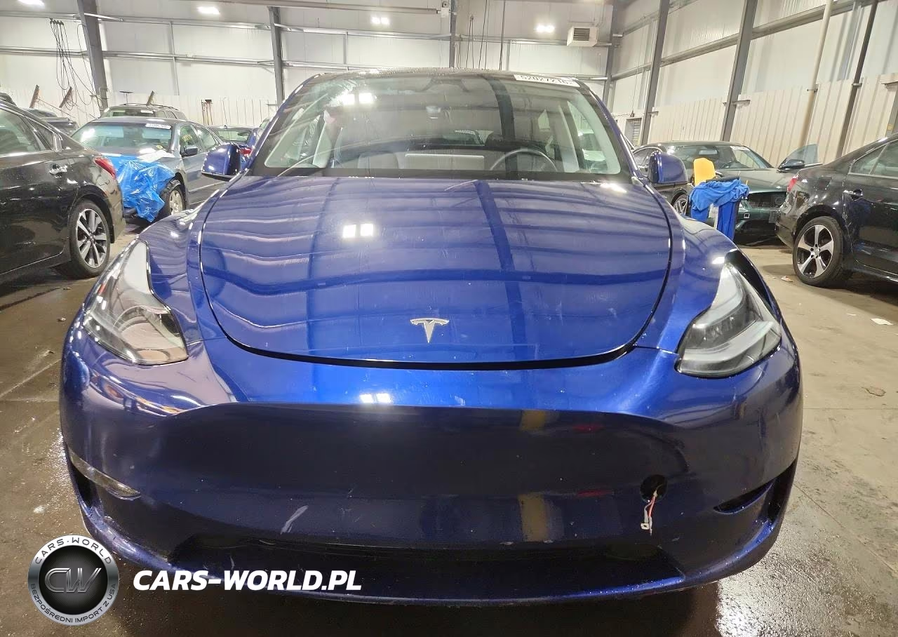 2023 Tesla Model Y VIN:7SAYGDEF5PF827347 - 5