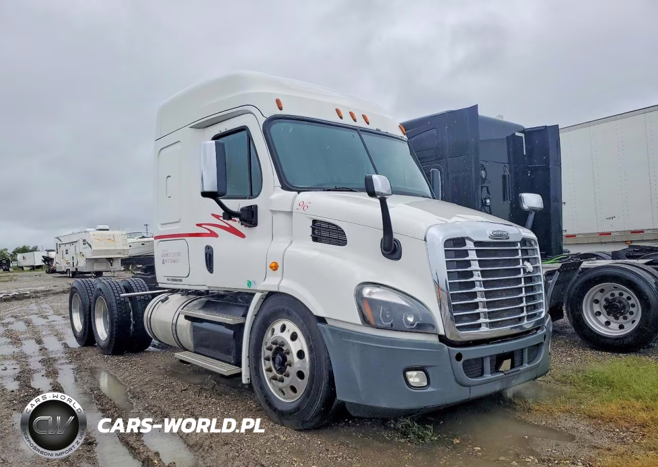 2014 Freightliner Cascadia 113