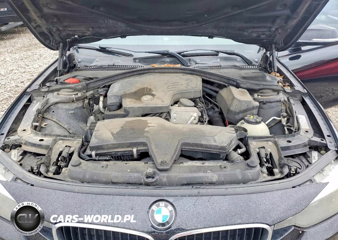 2014 BMW 328 Xi Sulev VIN:WBA3B5G52ENS10774 - 11