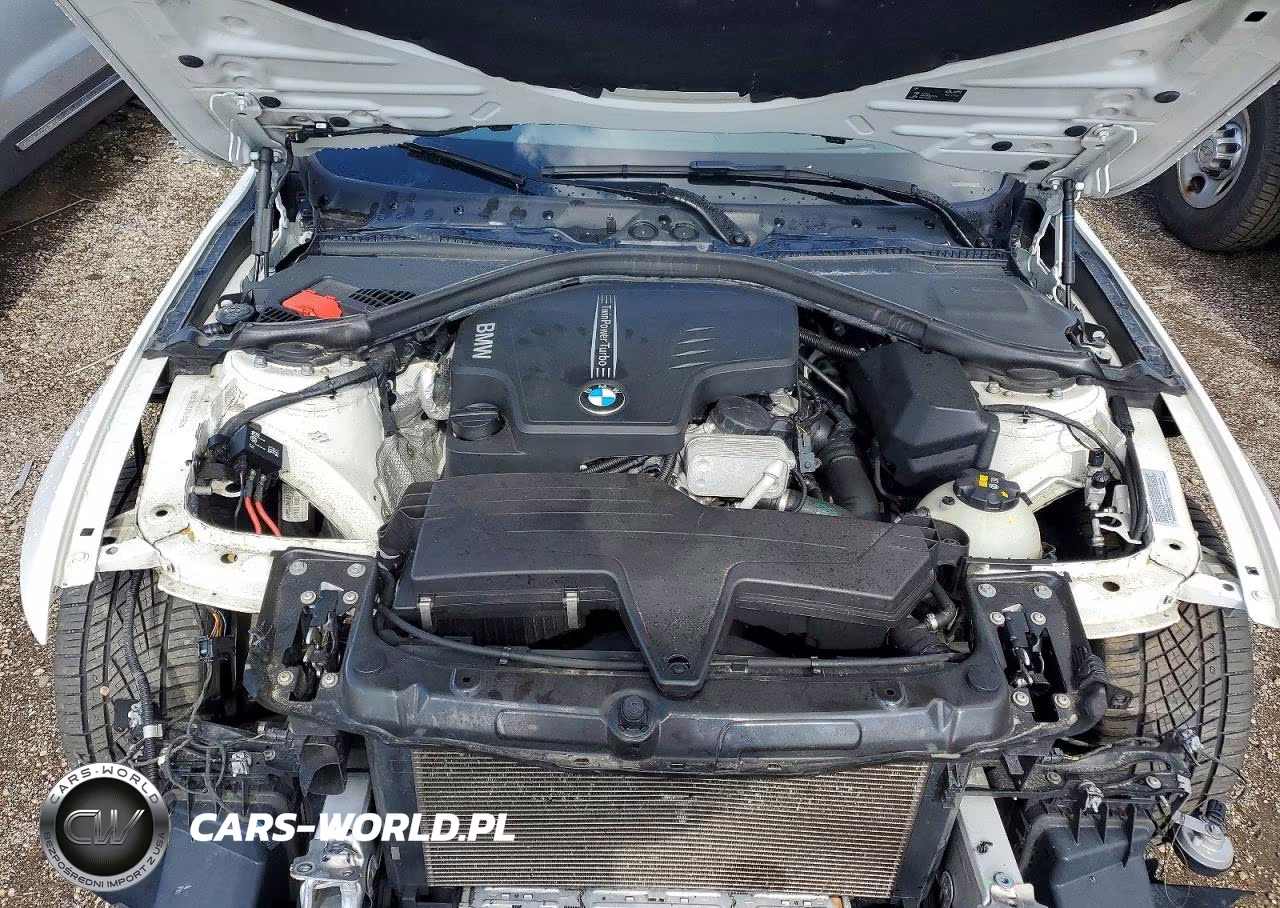 2015 BMW 428 Xi VIN:WBA3N5C52FK484900 - 11