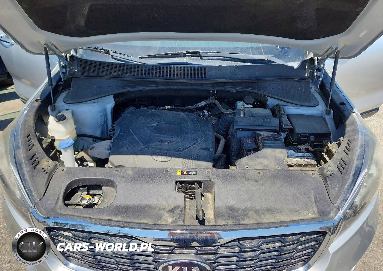 2020 Kia Sorento 3.3L Lx VIN:5XYPG4A53LG616480 - 12
