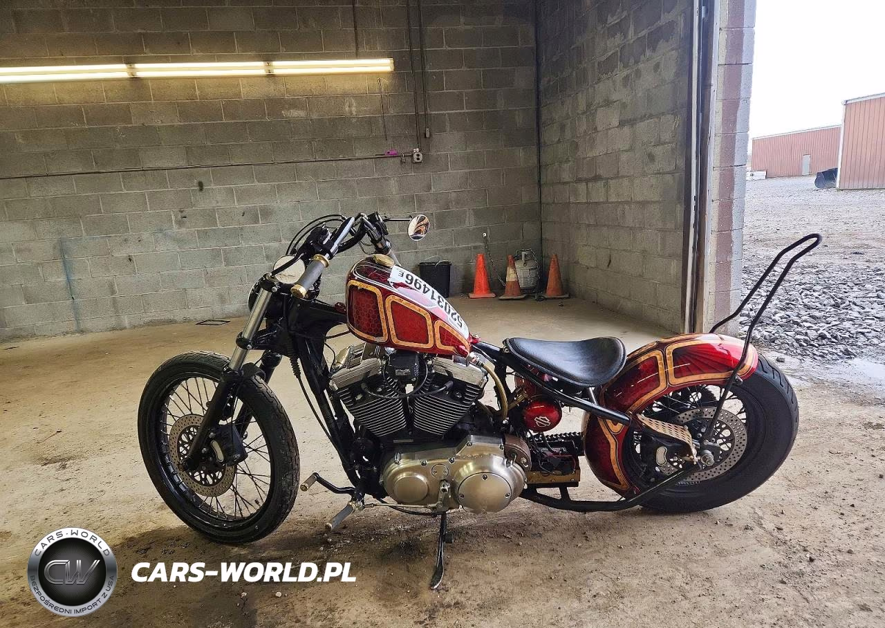 2000 Harley-Davidson Xl1200 C VIN:1HD1CGP19YK120154 - 3