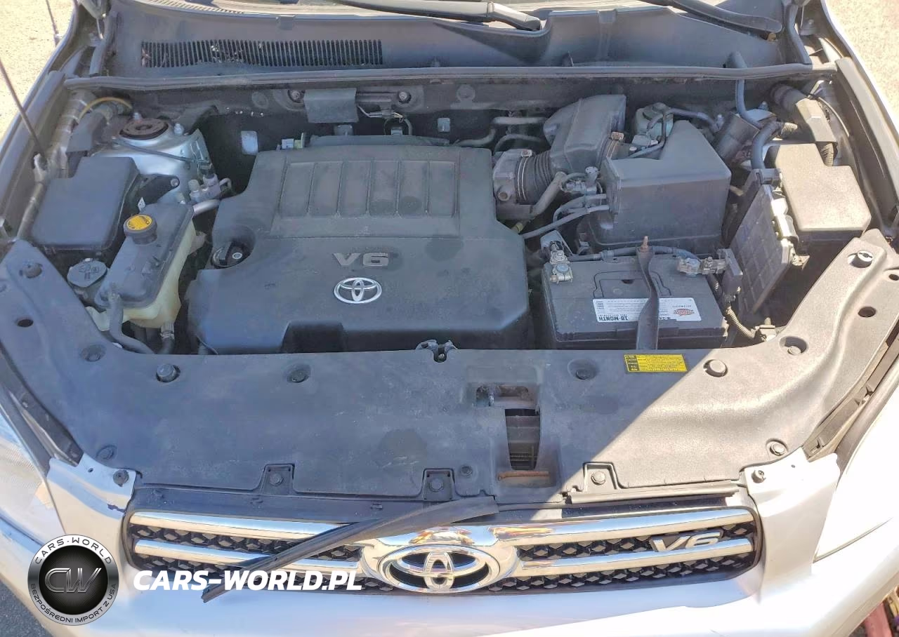 2006 Toyota Rav4 Limited VIN:JTMBK31V266003678 - 12