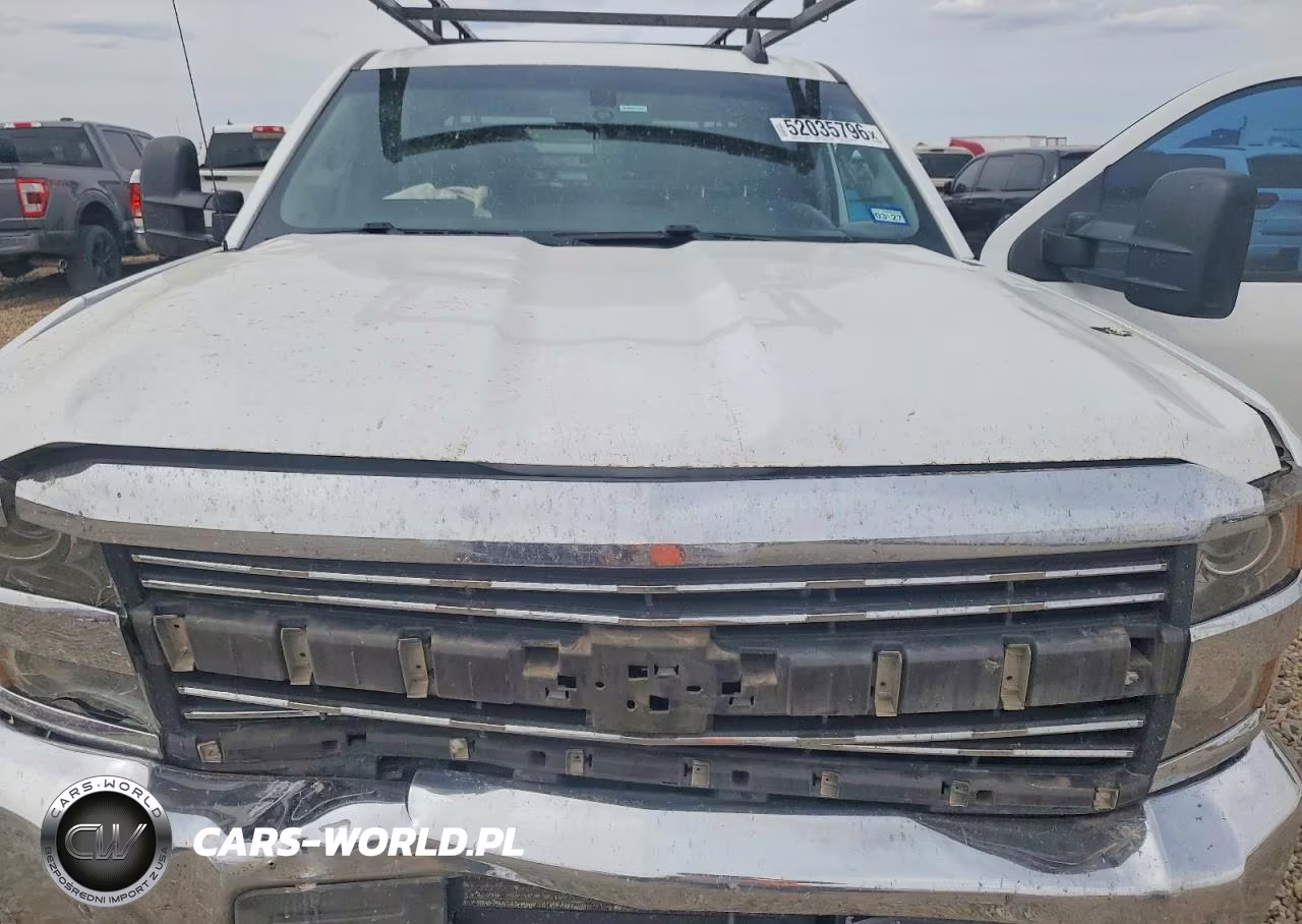2016 Chevrolet Silverado K2500 Heavy Duty VIN:1GC1KUEG1GF196789 - 11