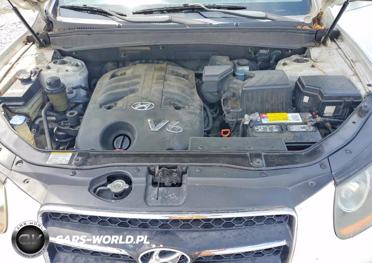 2008 Hyundai Santa Fe Se VIN:5NMSH13E68H144775 - 11