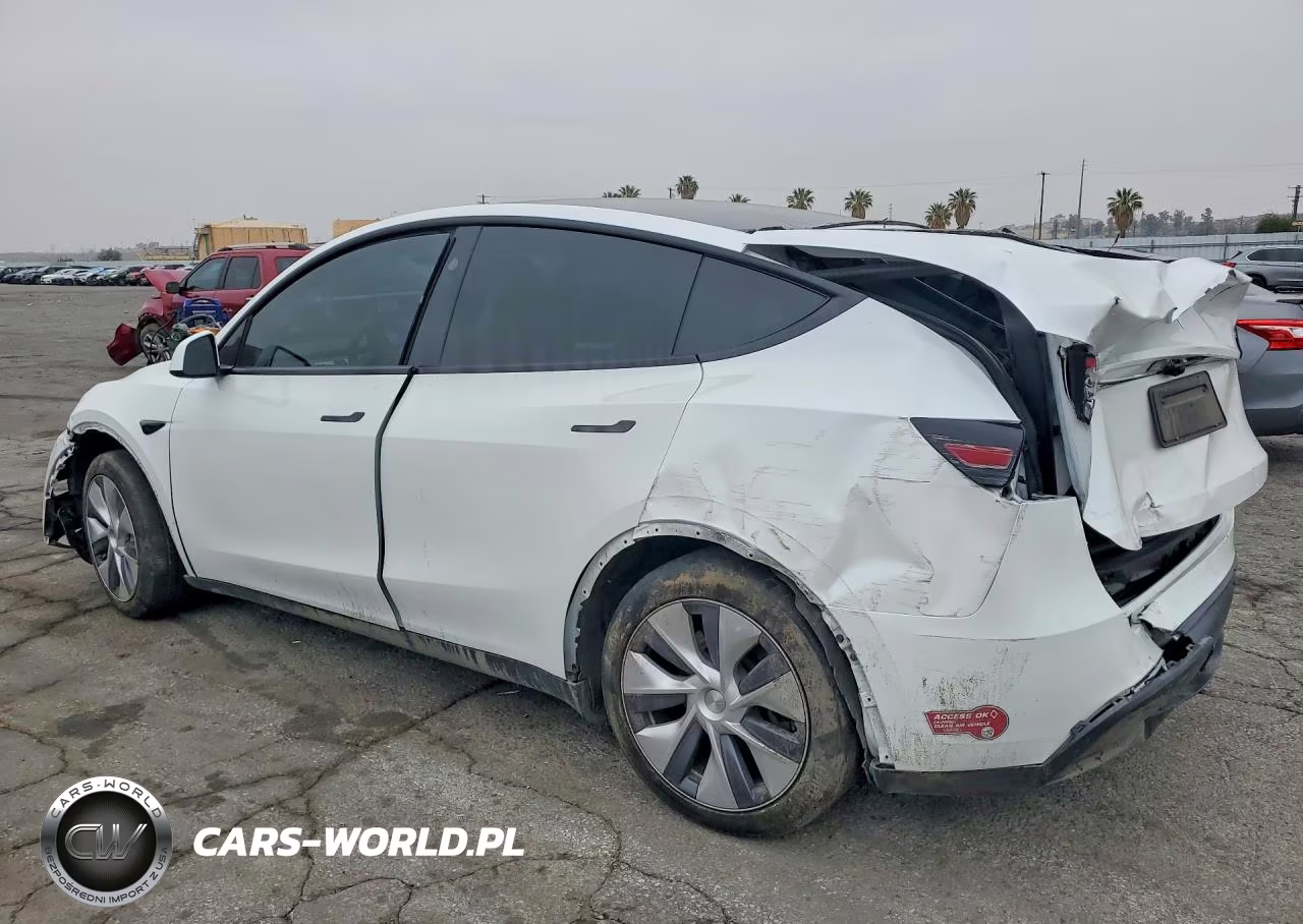 2024 Tesla Model Y VIN:7SAYGDED6RF095408 - 2