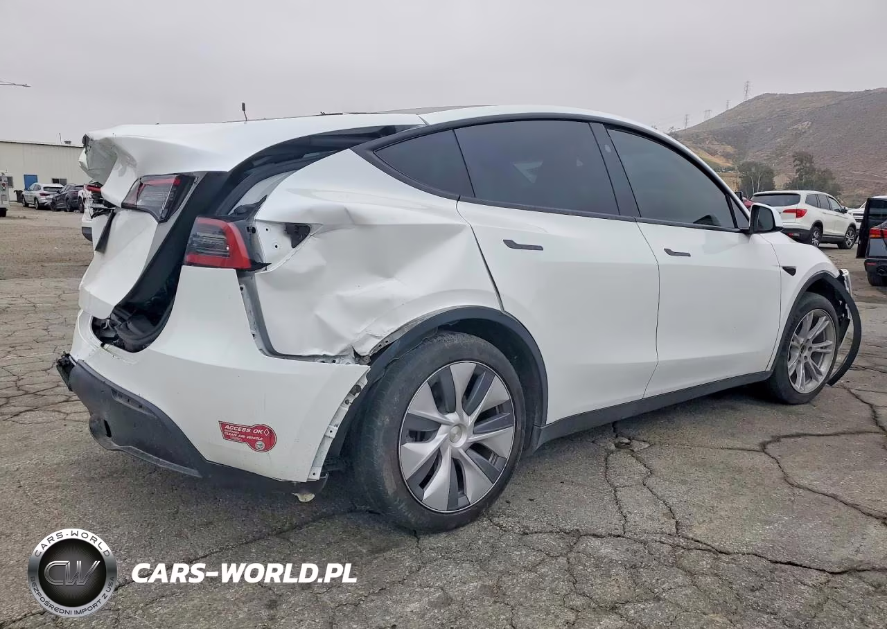 2024 Tesla Model Y VIN:7SAYGDED6RF095408 - 3