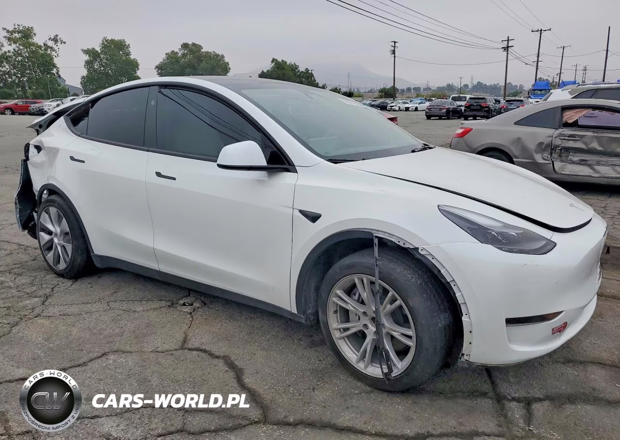 2024 Tesla Model Y VIN:7SAYGDED6RF095408 - 4