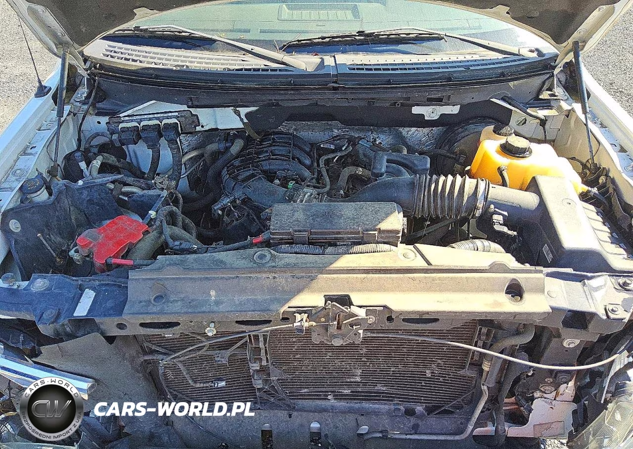 2012 Ford F150 VIN:1FTMF1CM5CKD83592 - 11