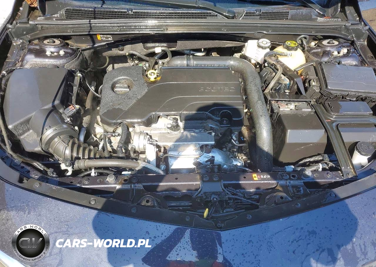 2023 Chevrolet Malibu Lt VIN:1G1ZD5ST2PF210440 - 11