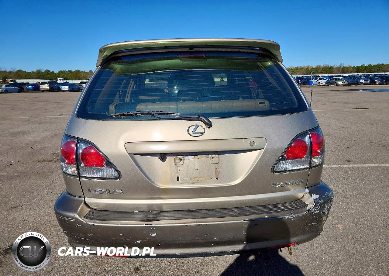 2003 Lexus Rx 300 VIN:JTJGF10U130162596 - 6