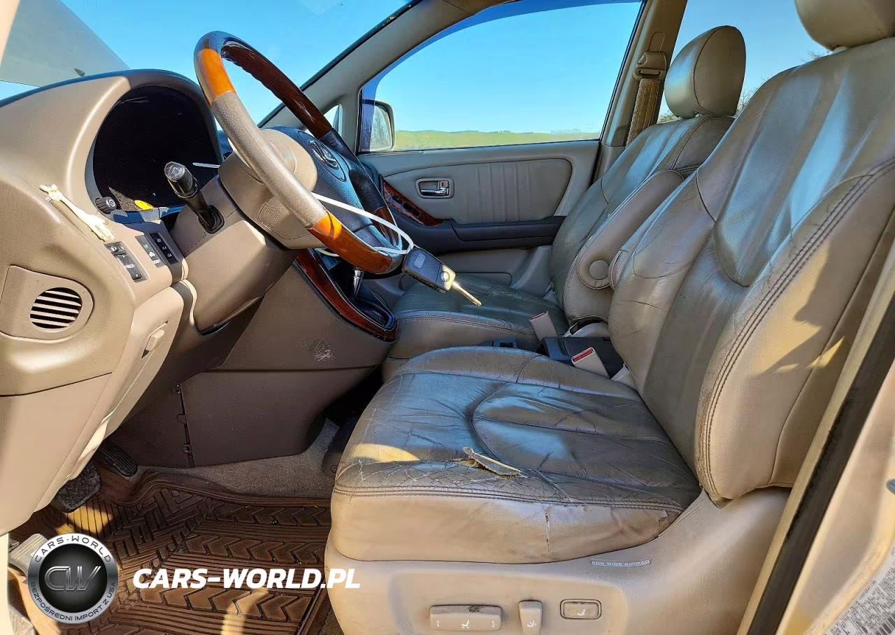 2003 Lexus Rx 300 VIN:JTJGF10U130162596 - 7