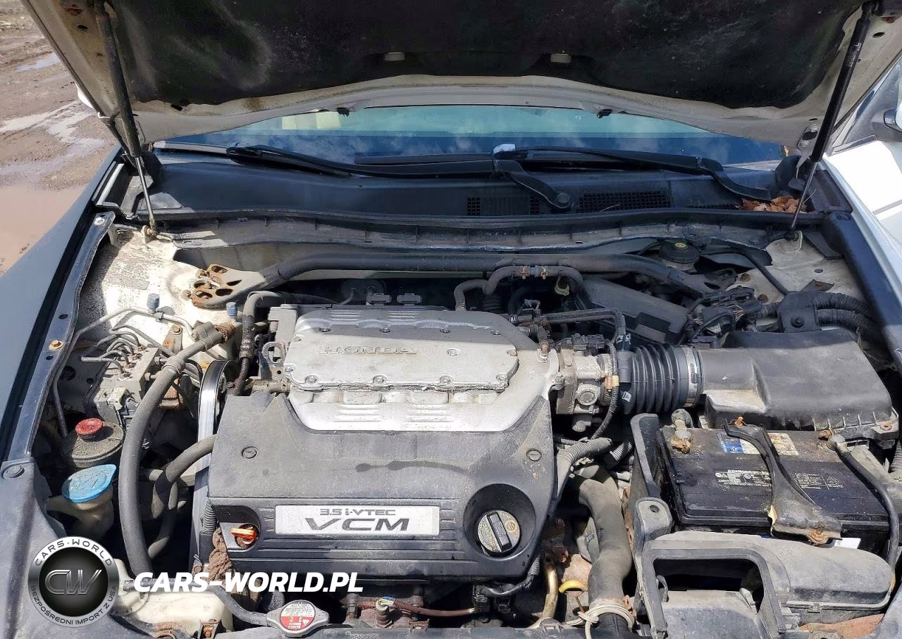 2011 Honda Accord Exl VIN:1HGCS2B89BA007307 - 11