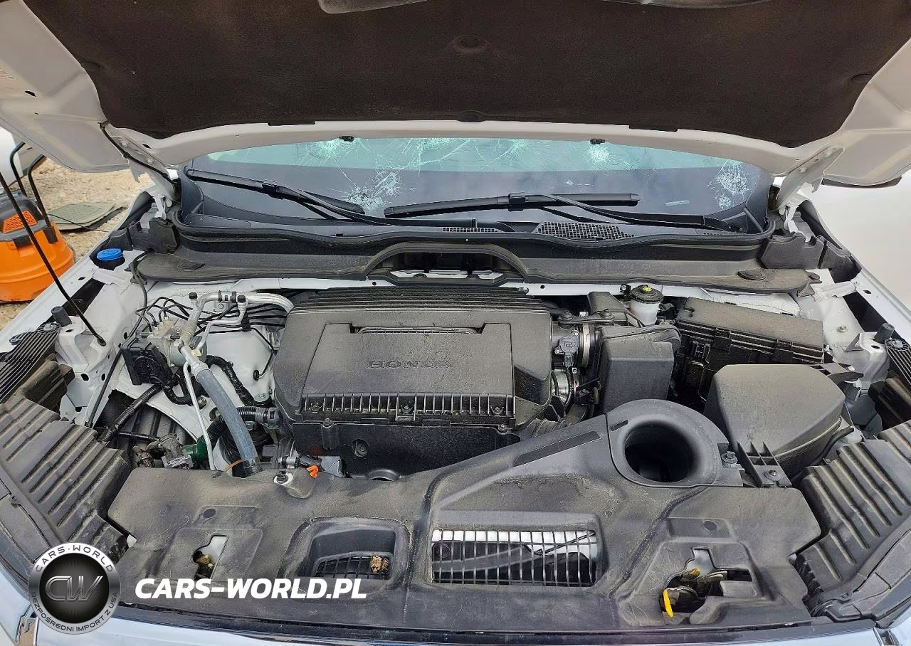 2024 Honda Pilot Elite VIN:5FNYG1H83RB036276 - 12