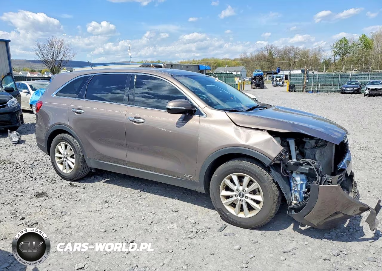 2019 Kia Sorento Lx VIN:5XYPGDA31KG545454 - 4