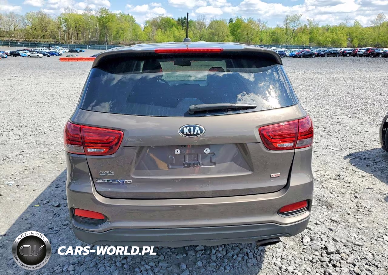 2019 Kia Sorento Lx VIN:5XYPGDA31KG545454 - 6