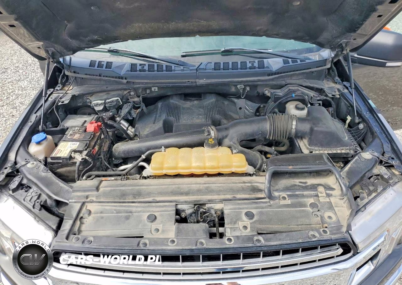2019 Ford F150 Supercrew VIN:1FTEW1E48KKD94604 - 11