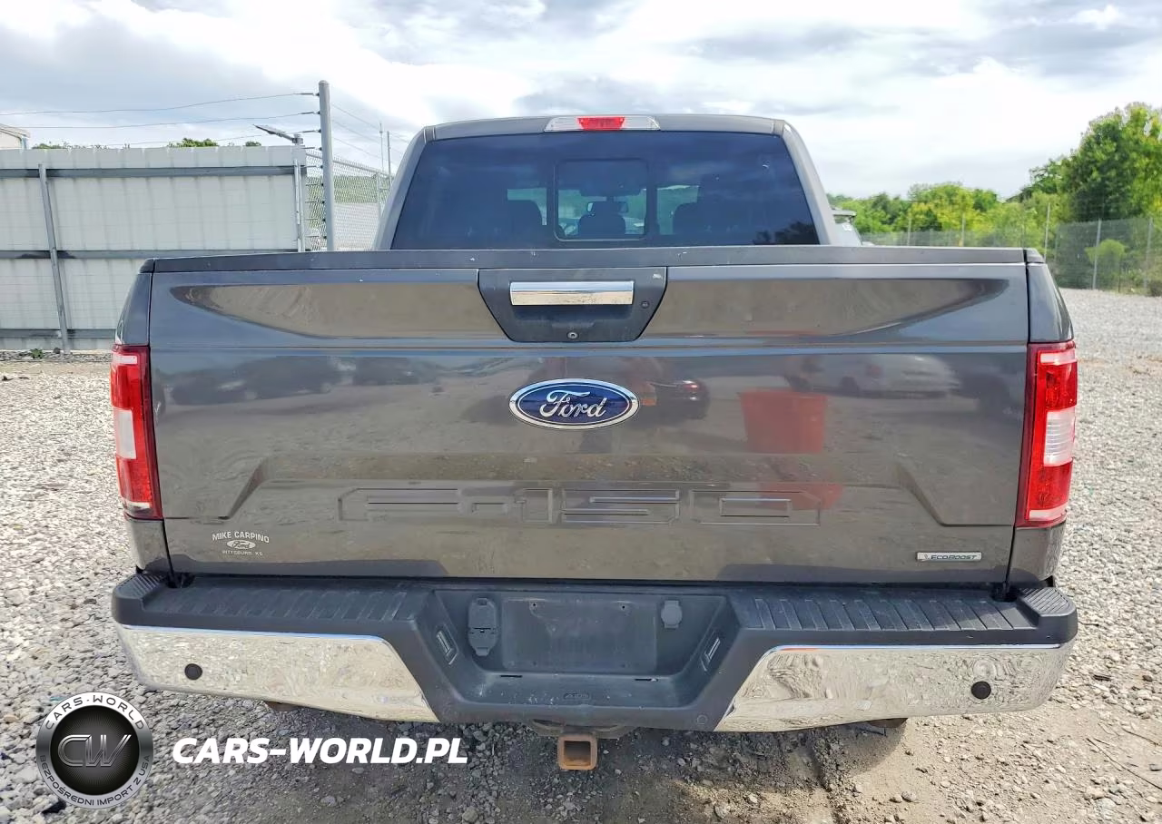 2019 Ford F150 Supercrew VIN:1FTEW1E48KKD94604 - 6