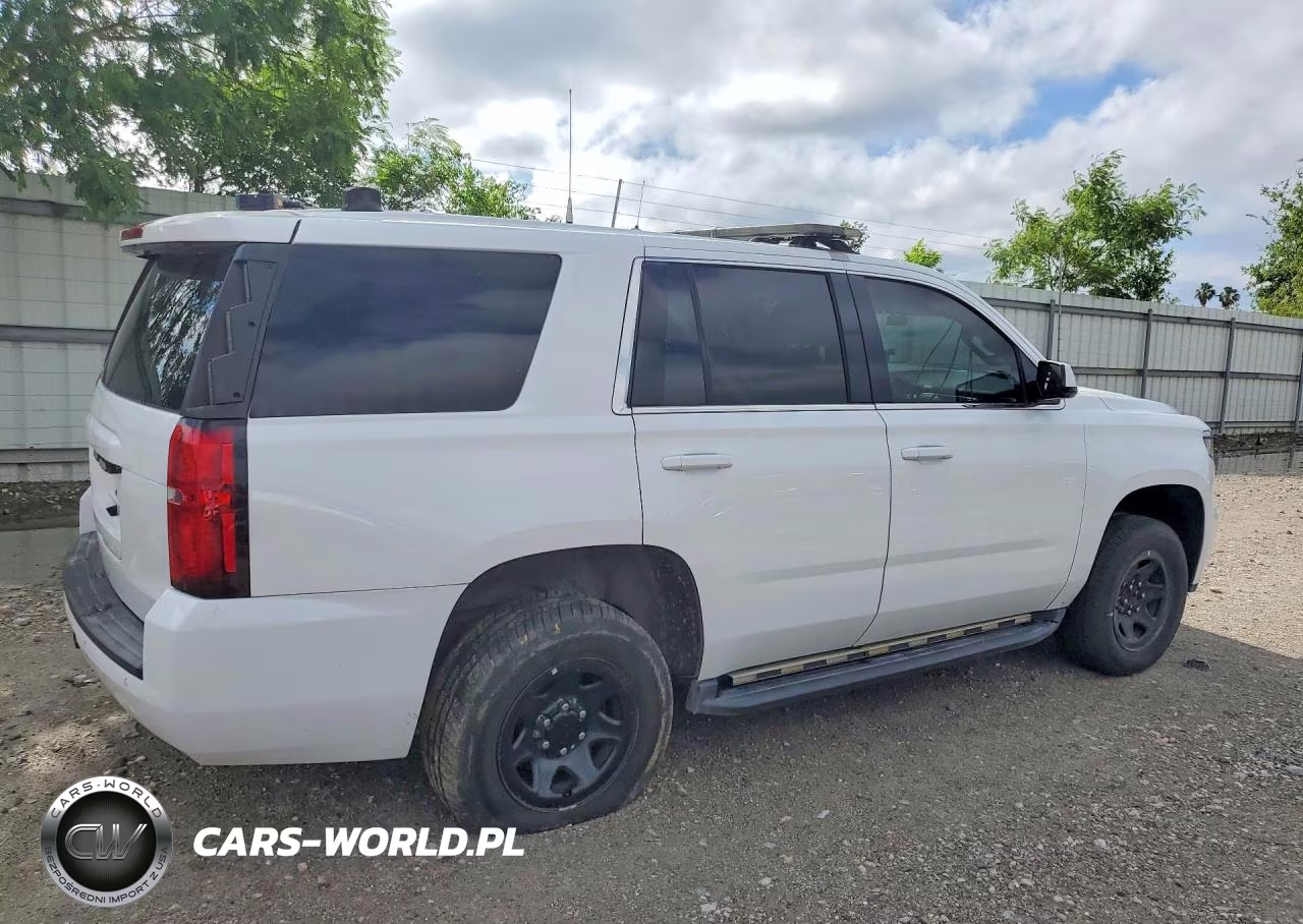 2019 Chevrolet Tahoe Police VIN:1GNLCDEC2KR298524 - 3