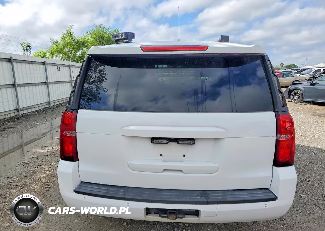 2019 Chevrolet Tahoe Police VIN:1GNLCDEC2KR298524 - 6