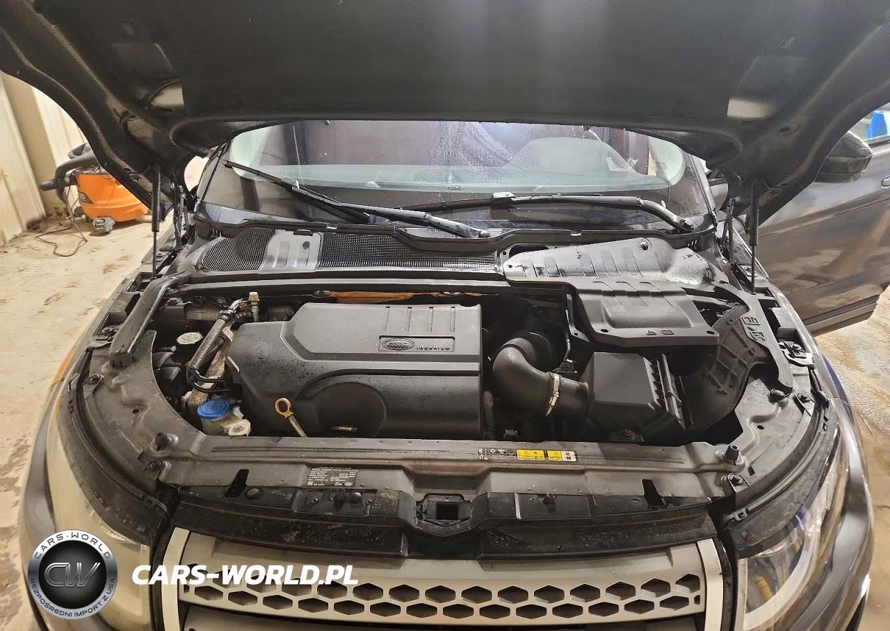 2019 Land Rover Range Rover Evoque Se VIN:SALVP2RX3KH342083 - 12