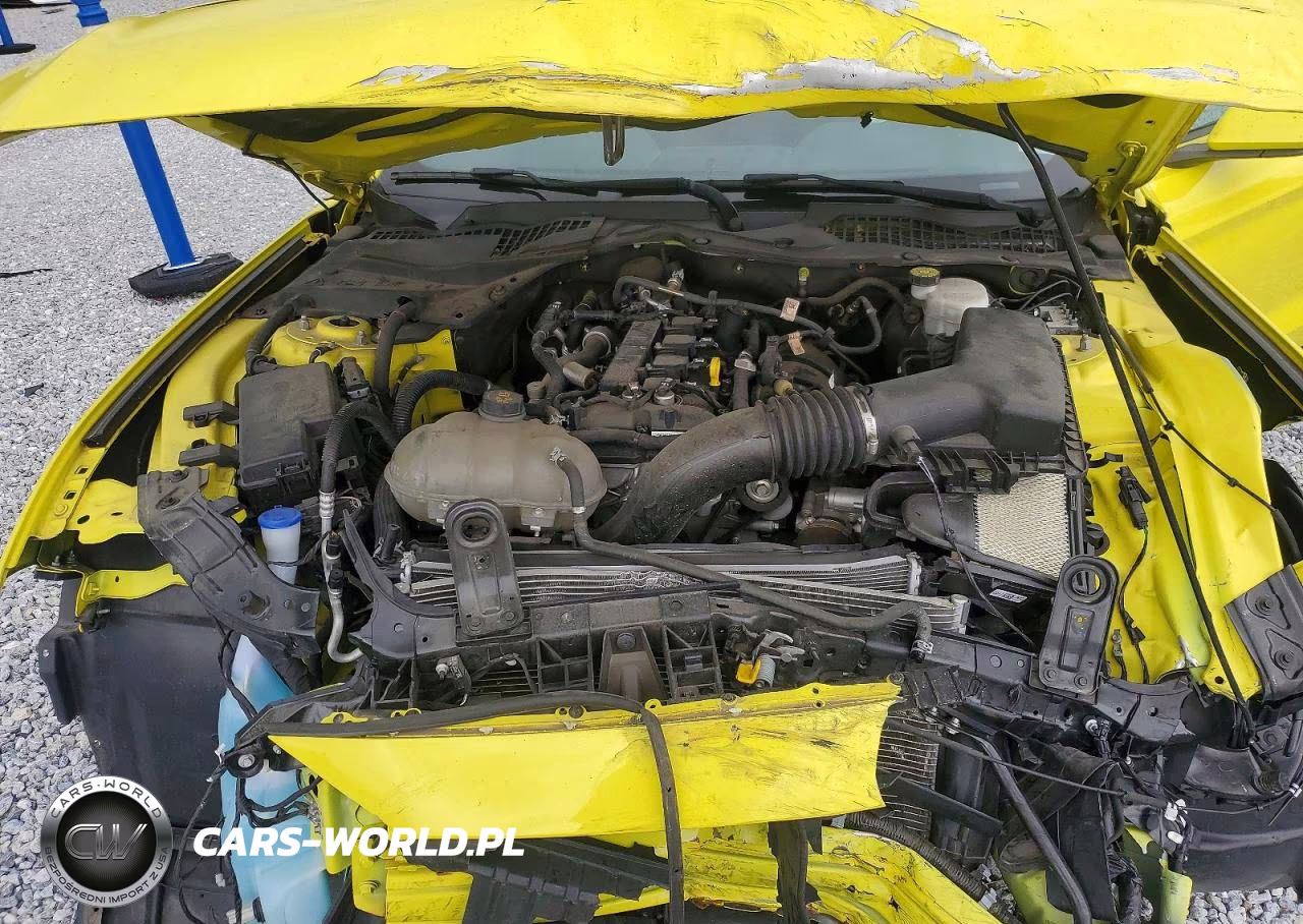 2021 Ford Mustang VIN:1FA6P8THXM5101602 - 11