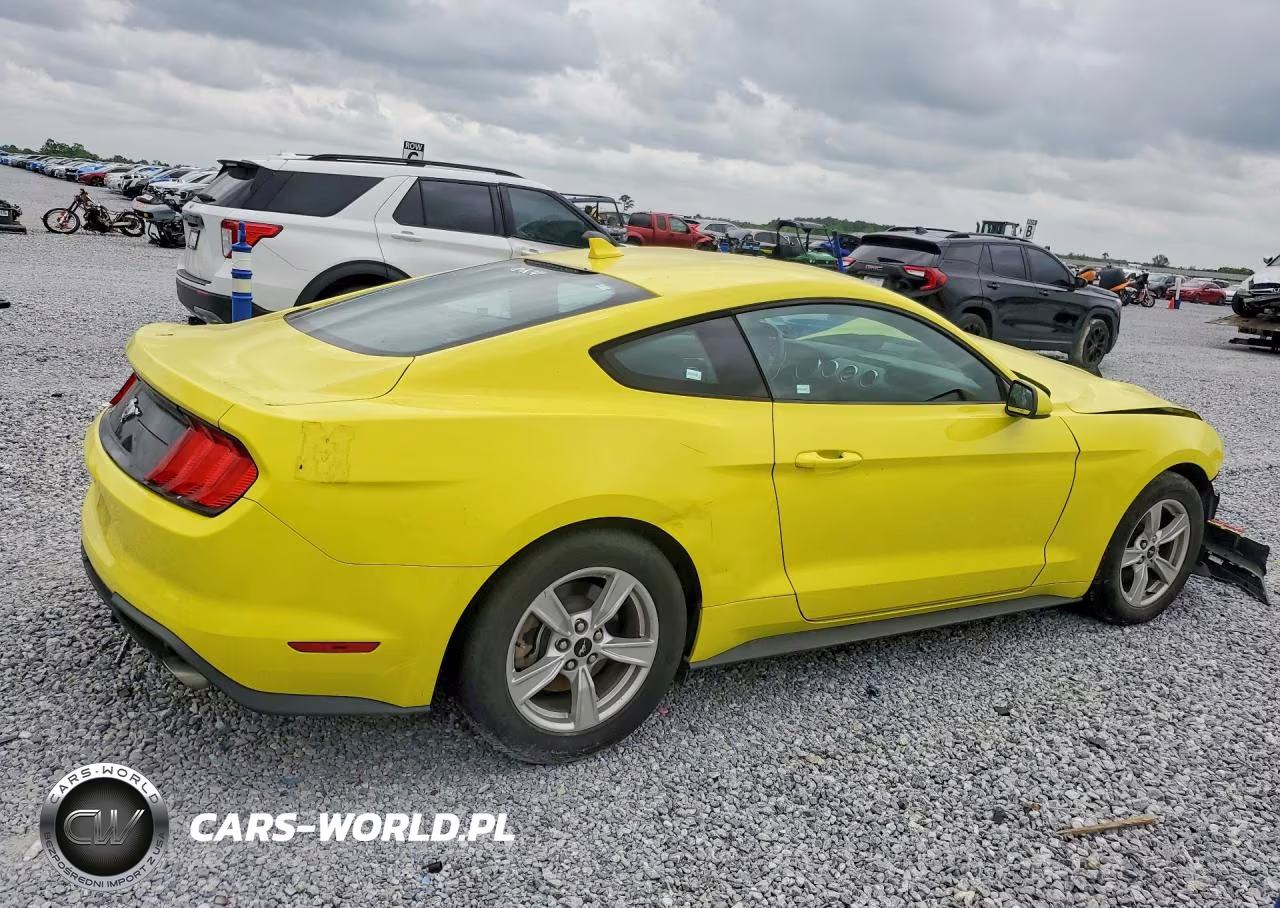 2021 Ford Mustang VIN:1FA6P8THXM5101602 - 3