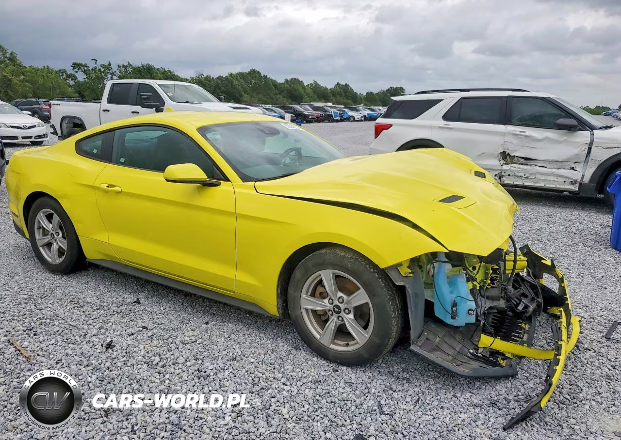 2021 Ford Mustang VIN:1FA6P8THXM5101602 - 4