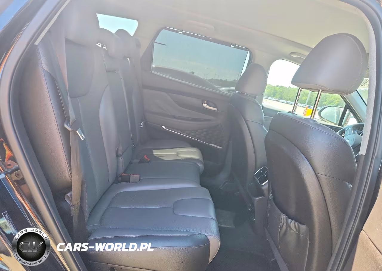 2020 Hyundai Santa Fe Limited VIN:5NMS53AD8LH293664 - 11