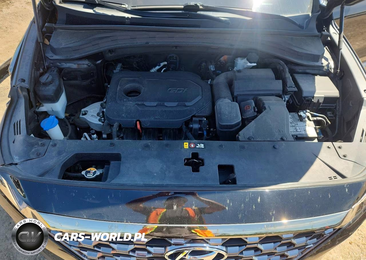 2020 Hyundai Santa Fe Limited VIN:5NMS53AD8LH293664 - 12