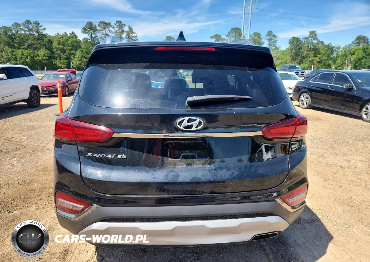 2020 Hyundai Santa Fe Limited VIN:5NMS53AD8LH293664 - 6