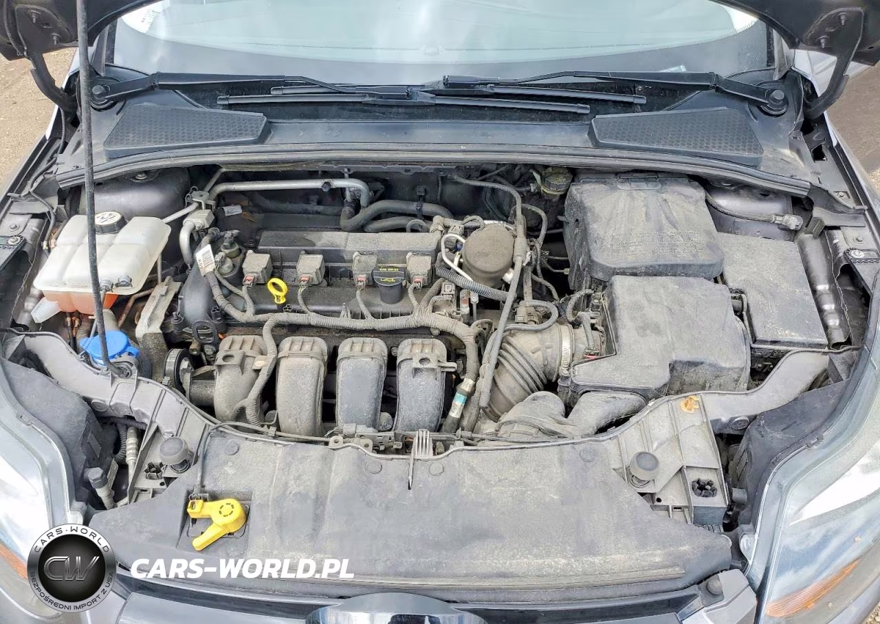 2014 Ford Focus Titanium VIN:1FADP3N24EL228894 - 11