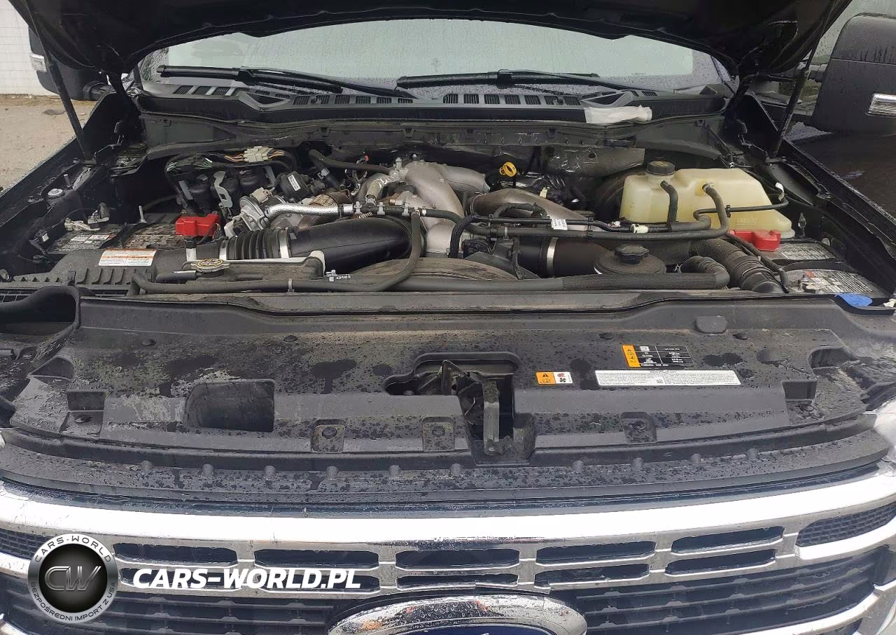 2023 Ford F250 Super Duty VIN:1FT8W2BT1PEC88189 - 11