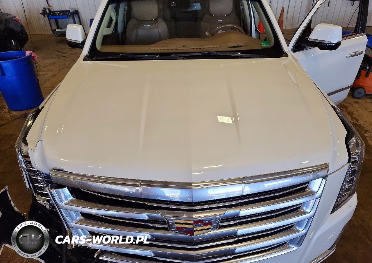 2016 Cadillac Escalade Esv Platinum VIN:1GYS4KKJ2GR269096 - 12