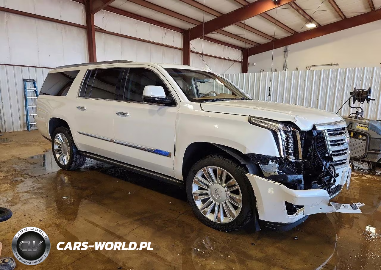 2016 Cadillac Escalade Esv Platinum VIN:1GYS4KKJ2GR269096 - 4