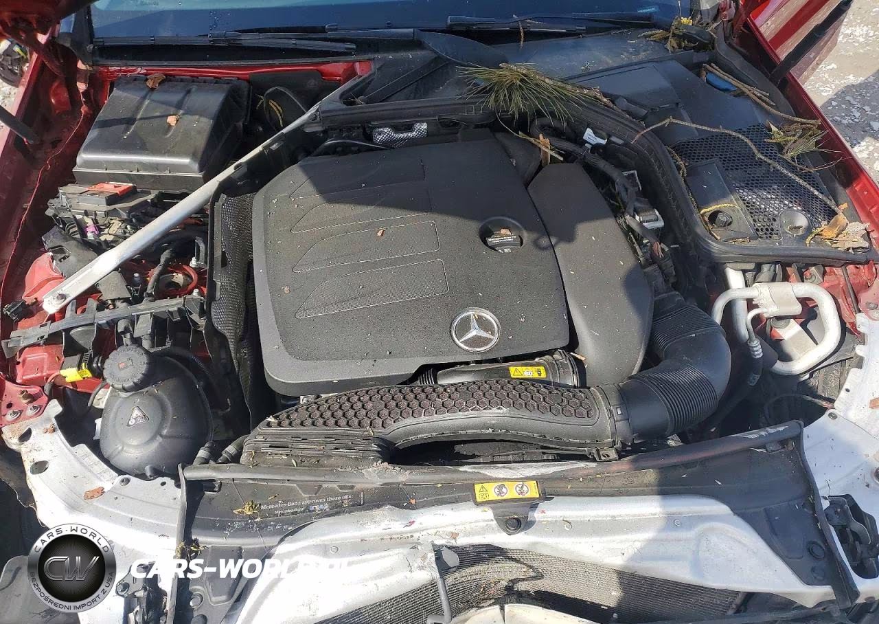 2019 Mercedes-Benz C 300 4Matic VIN:55SWF8EB0KU296495 - 11