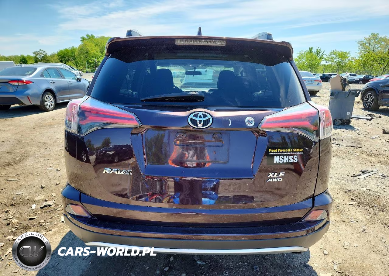 2016 Toyota Rav4 Xle VIN:2T3RFREV2GW487478 - 6