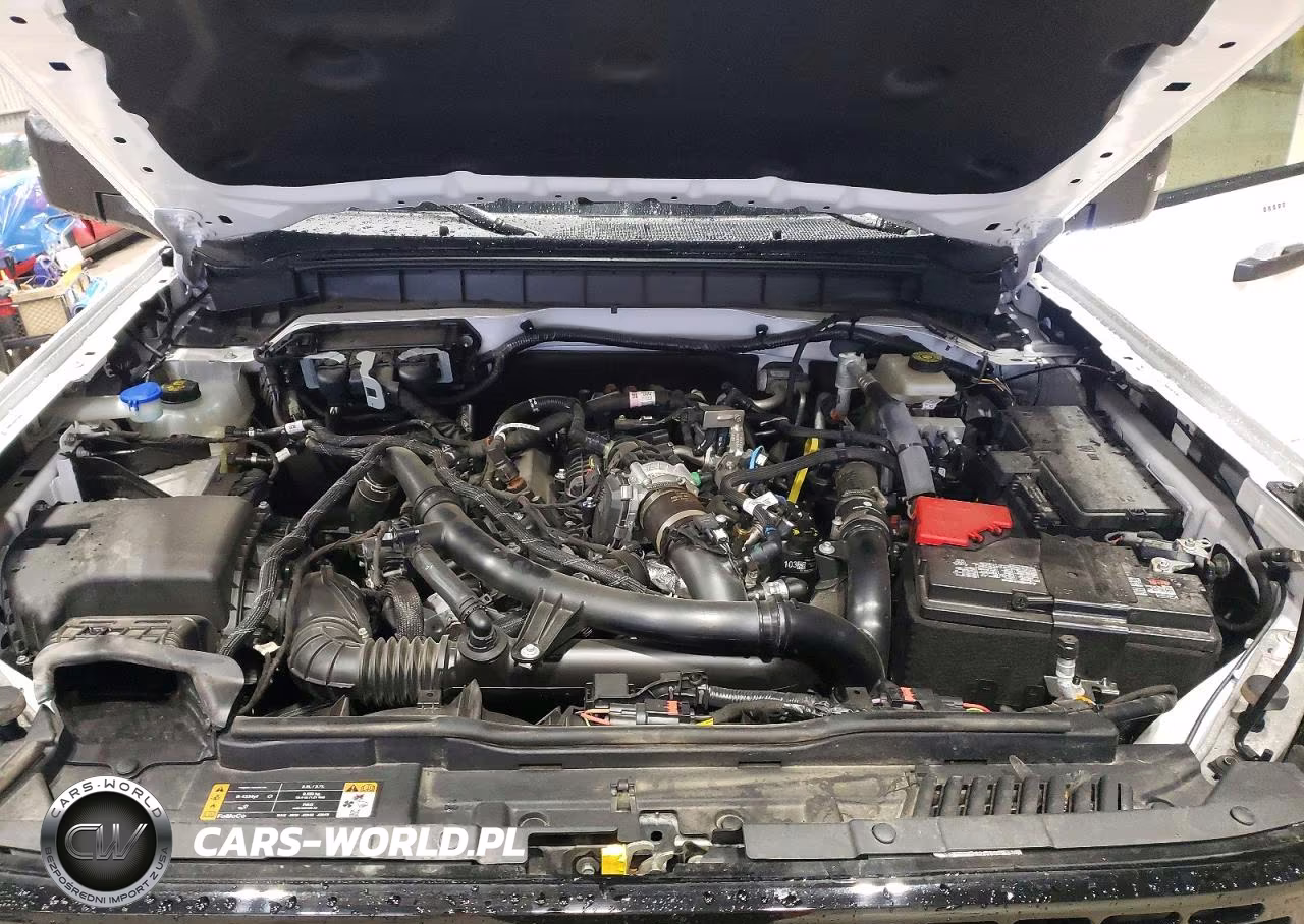 2023 Ford Bronco Base VIN:1FMEE5DP6PLB89611 - 12