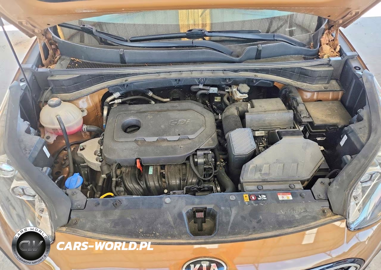 2021 Kia Sportage Lx VIN:KNDPMCAC1M7922142 - 12