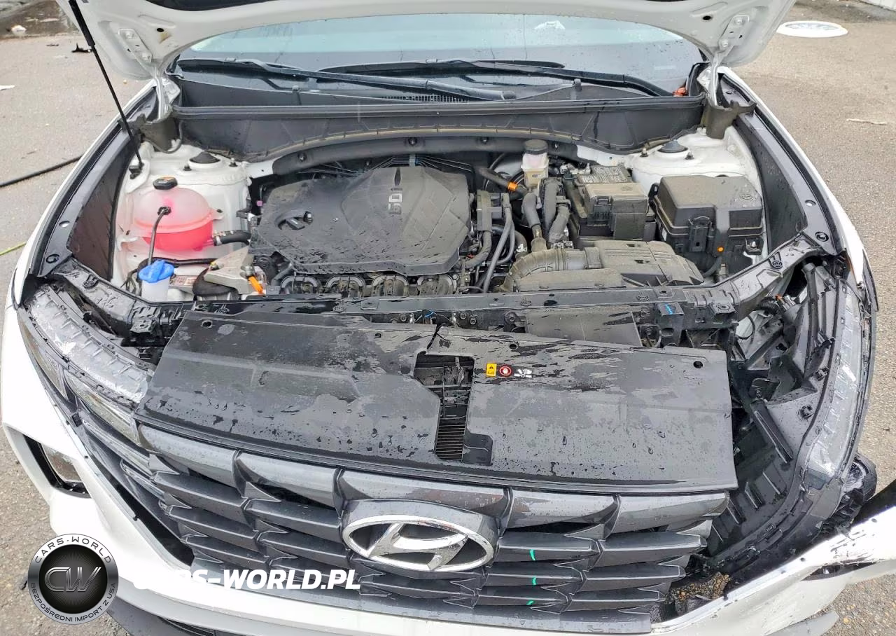 2024 Hyundai Tucson Sel VIN:5NMJF3DE1RH408255 - 12