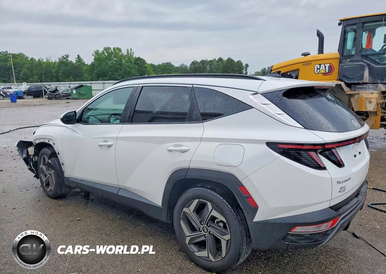 2024 Hyundai Tucson Sel VIN:5NMJF3DE1RH408255 - 2