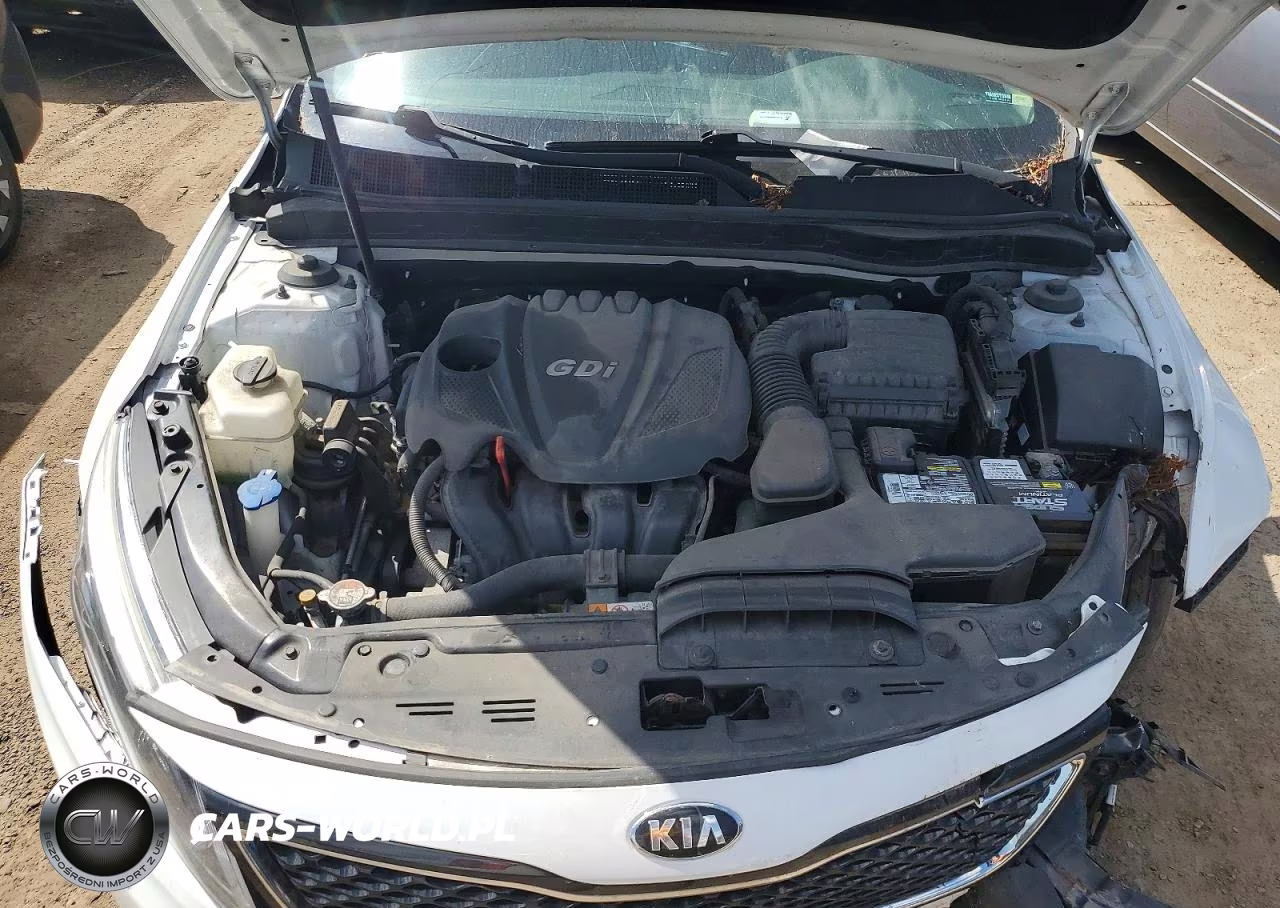 2015 Kia Optima Ex VIN:5XXGN4A72FG508819 - 11
