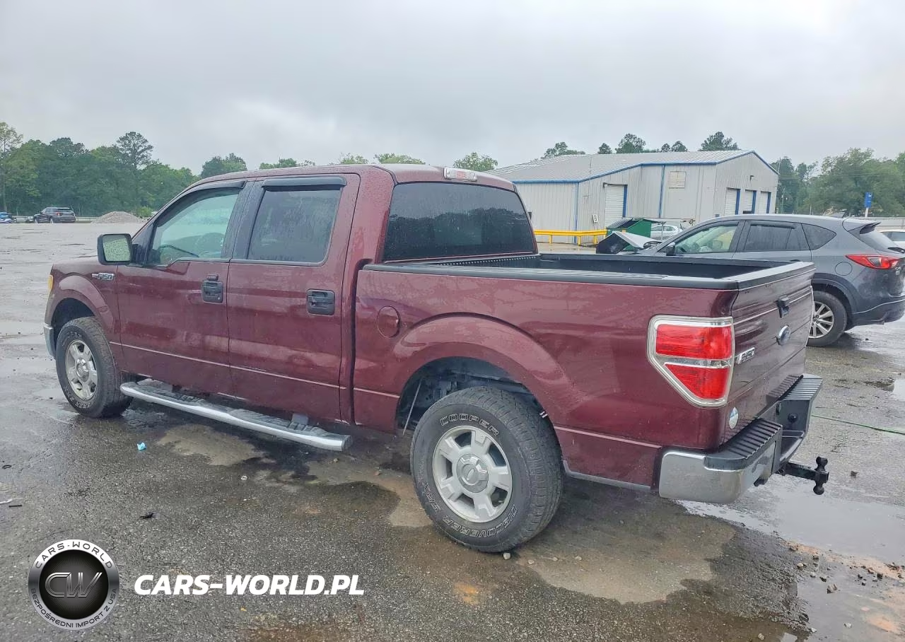 2010 Ford F150 Supercrew VIN:1FTEW1C89AFD30469 - 2