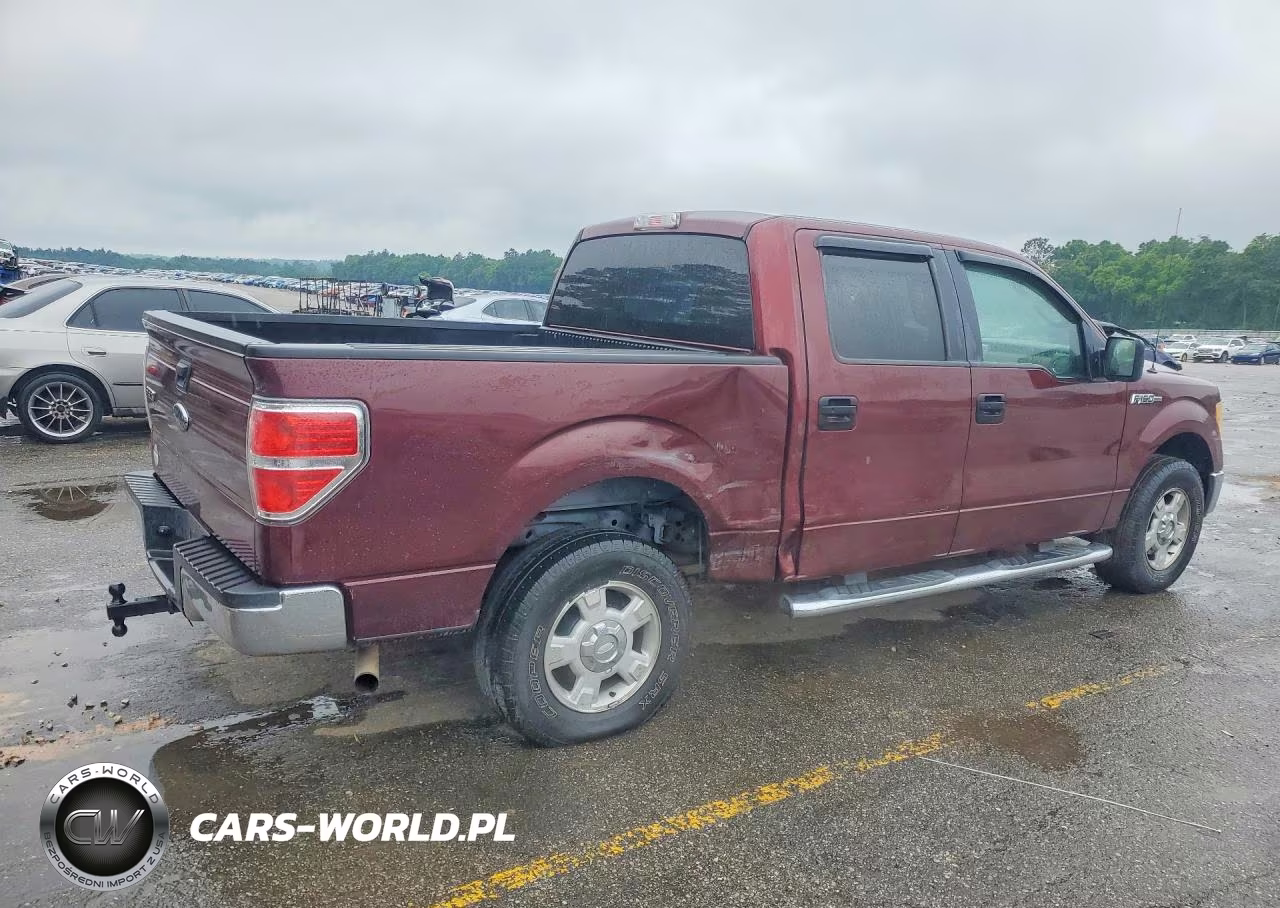 2010 Ford F150 Supercrew VIN:1FTEW1C89AFD30469 - 3