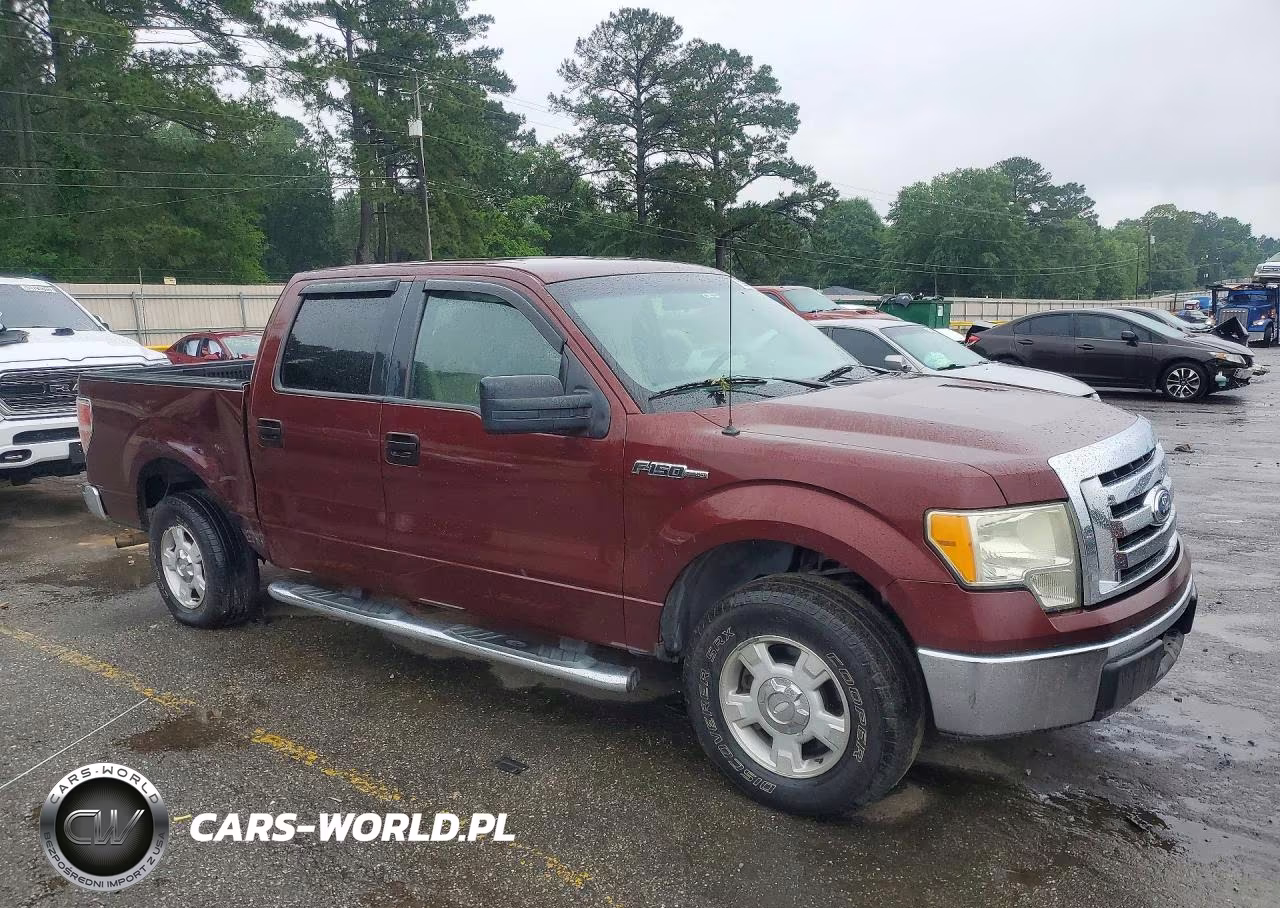 2010 Ford F150 Supercrew VIN:1FTEW1C89AFD30469 - 4