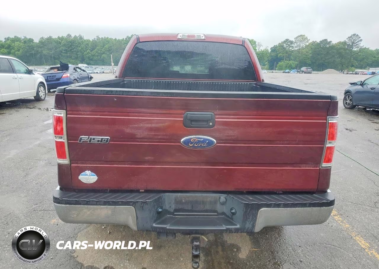 2010 Ford F150 Supercrew VIN:1FTEW1C89AFD30469 - 6