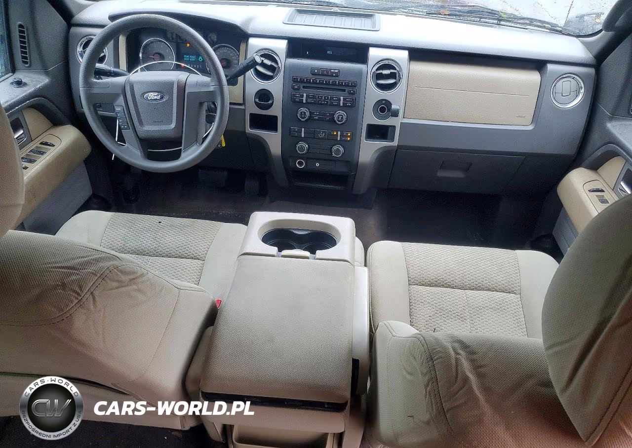 2010 Ford F150 Supercrew VIN:1FTEW1C89AFD30469 - 8